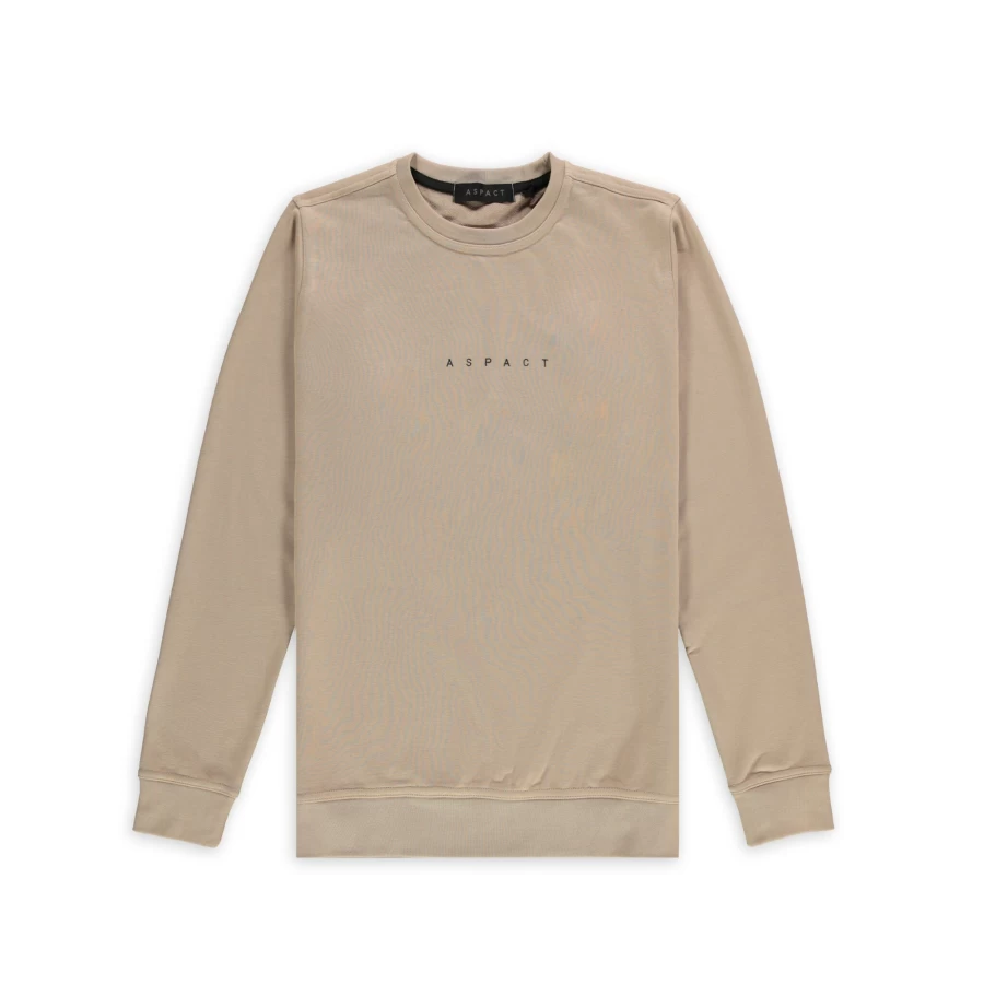 Aspart Women's Taupe Embroidered Sweater - Elegant Knit Pullover with Intricate Stitching