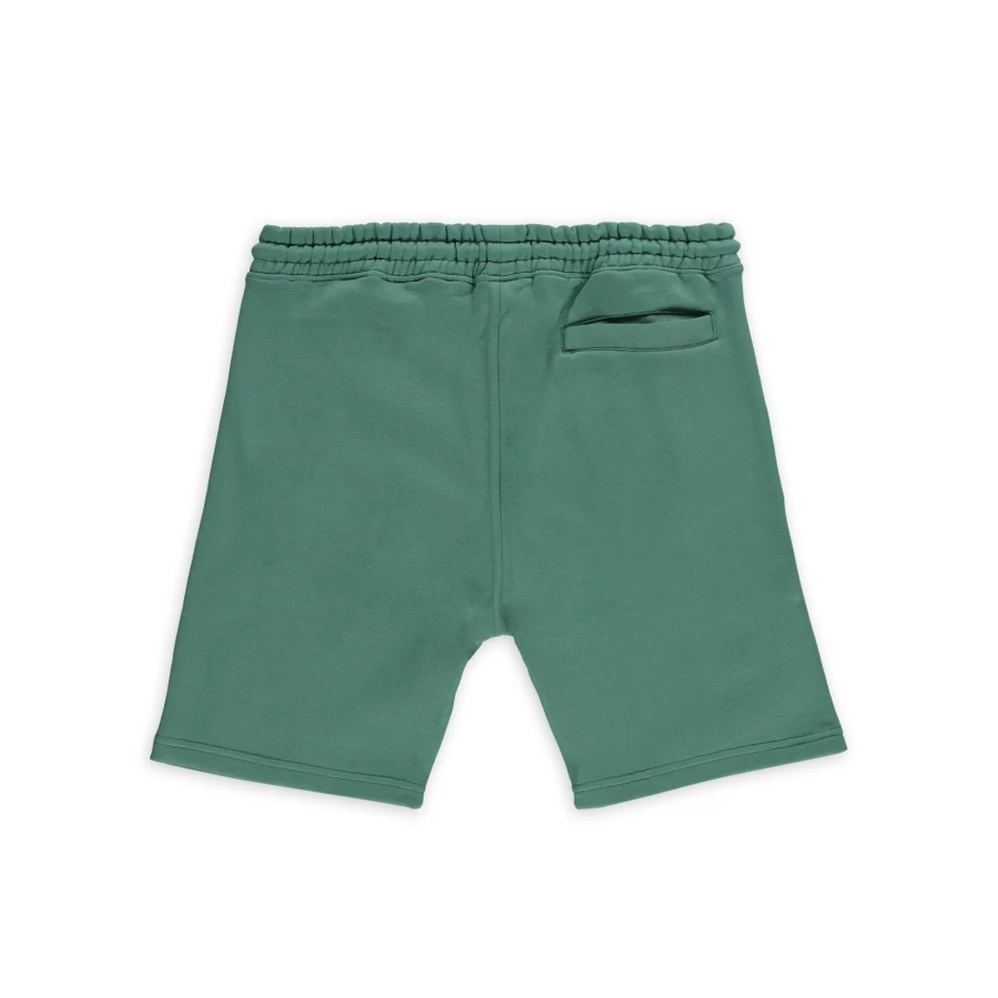 Aspact Roma Shorts for Women - Beryl Green Casual Comfort Fit Summer Shorts