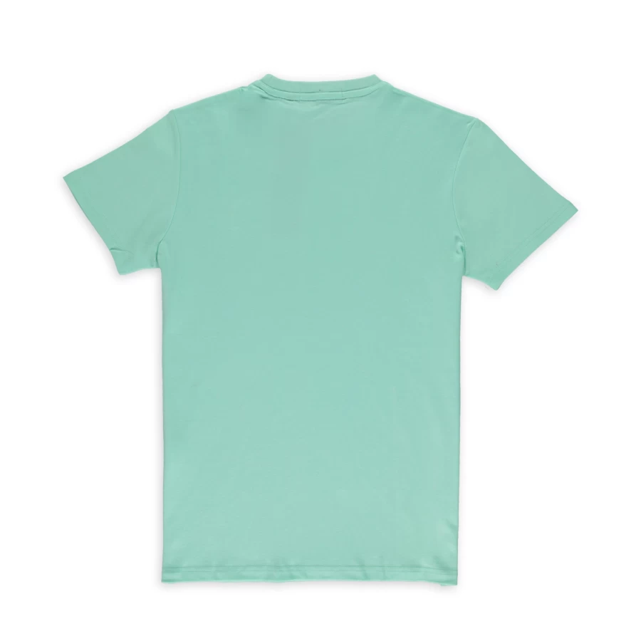 Aspact Premium Tee in Light Mint - High-Quality Cotton T-Shirt for Men & Women