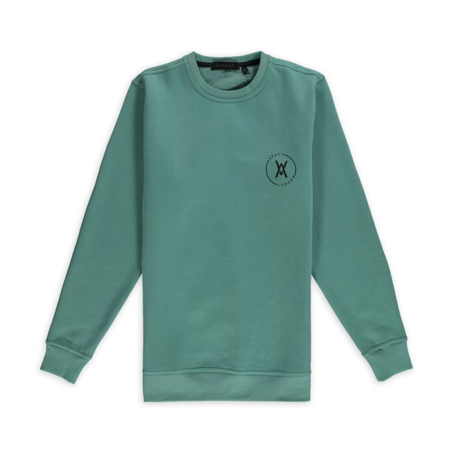 Aspact Beryl Green Circle Knit Sweater - Soft Casual Pullover for Women