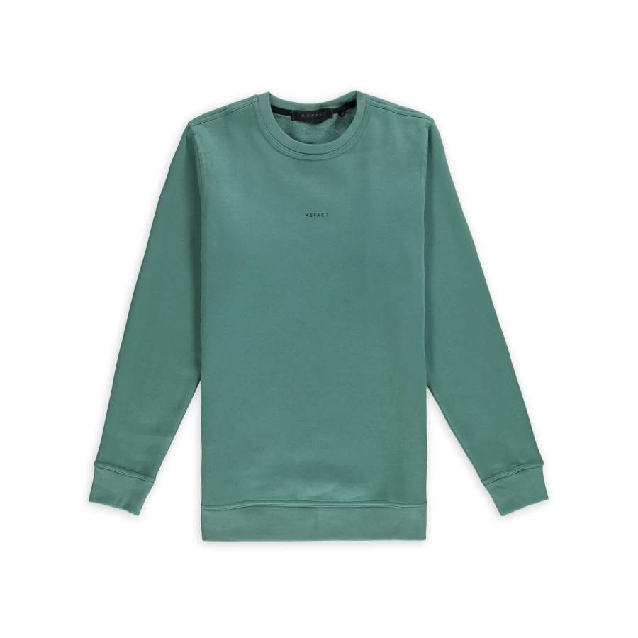 Aspact Beryl Green Logo Sweater - Casual Comfort Pullover for Men & Women